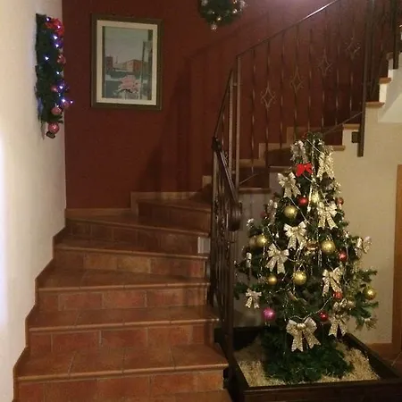 Bed & Breakfast Il Tralcio Ponte di Piave