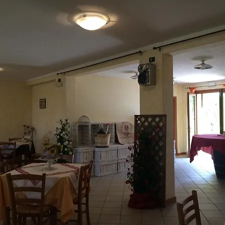 Il Tralcio